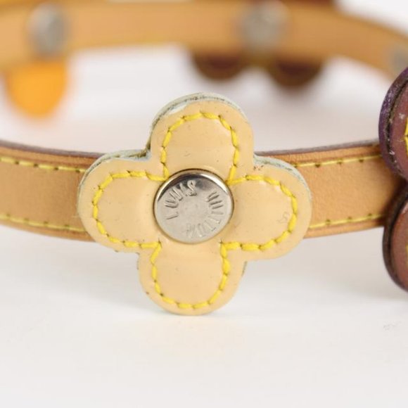 Louis Vuitton Multicolor Vernis Fleur x Vachetta - Picture 10 of 12